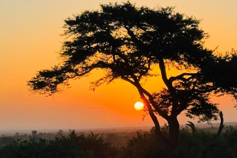 Nairobi National Park Couples Romantic Wildlife Escape