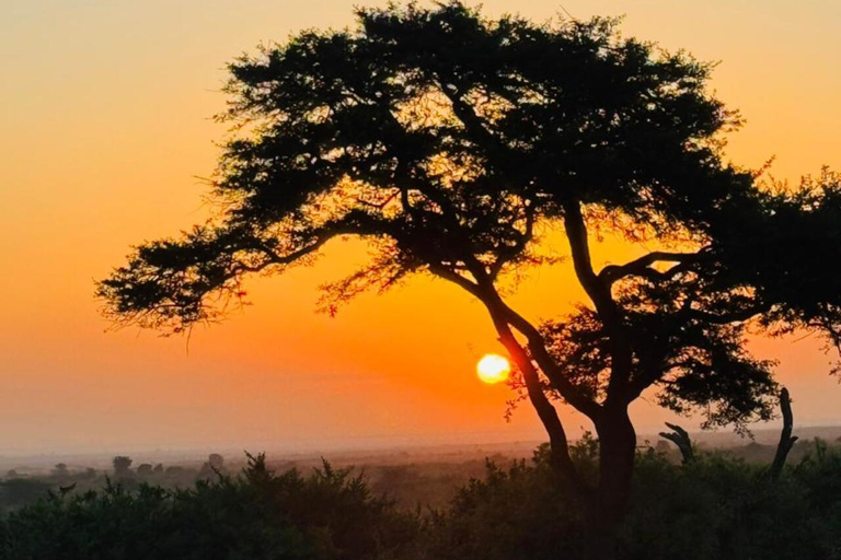 Nairobi National Park Couples Romantic Wildlife Escape