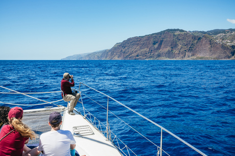 Funchal: osservazione di delfini e balene in catamarano di lusso