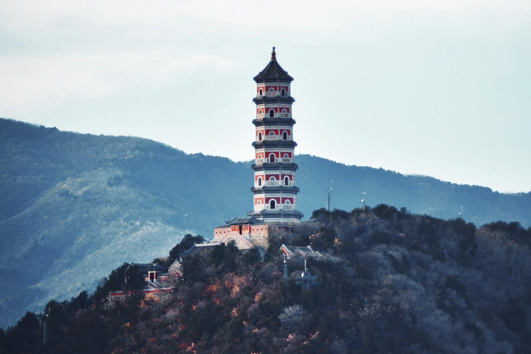 All-Inclusive：Mutianyu Great Wall+Summer Palace Luxury Tour Great Wall Ticket+Cable car