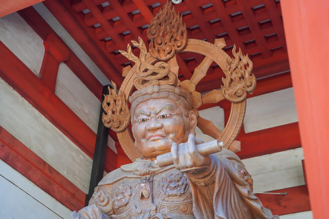 Wakayama & Koyasan: Private Tour with Hotel Pickup & Lunch