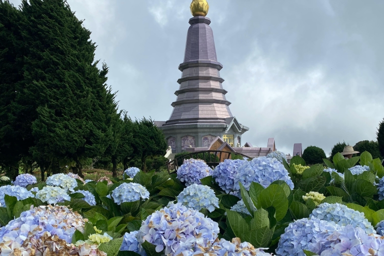 Doi Inthanon: Full-Day Tour with Waterfalls & Hilltribes