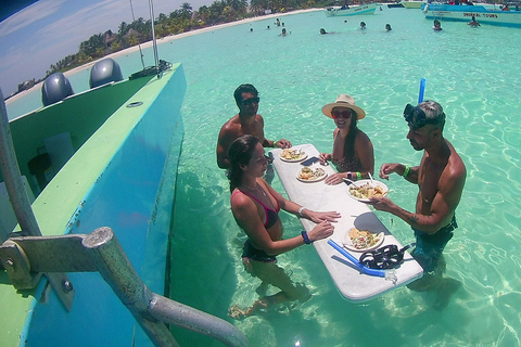 Swim with Whale Sharks from Cancun, Playa Del Carmen, Tulum