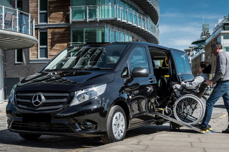 Pompeii: Wheelchair-accessible Private Tour with a Guide Private Van Transfer from Naples, Guide and Tickets