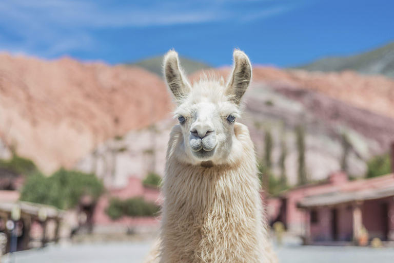 Salta: 2-Day Guided Tours of Humahuaca and Salinas Grandes