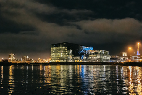 Reykjavik : tour en yacht de luxe et aurores boréalesReykjavik : yacht et aurores boréales depuis votre hôtel