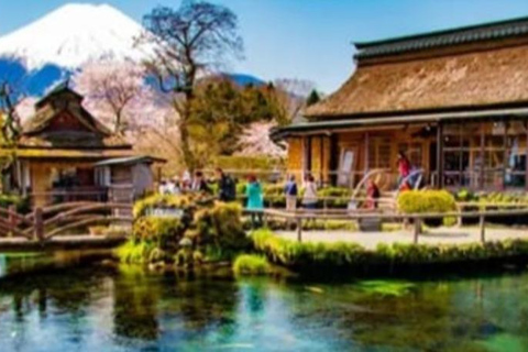 Tokyo: Mount Fuji and Hakone Hidden Gems Tour
