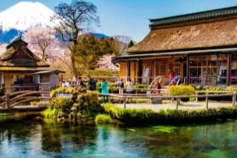 Tokyo: Mount Fuji and Hakone Hidden Gems Tour