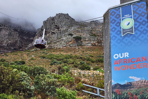 Cape Town: Table Mountain and stellenbosch Big Cats Park