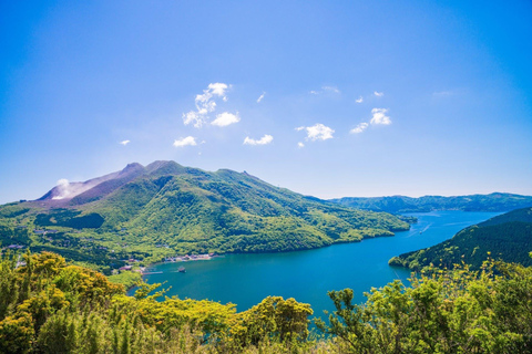 Tokyo: Hakone Private Luxury Day Tour with English Driver