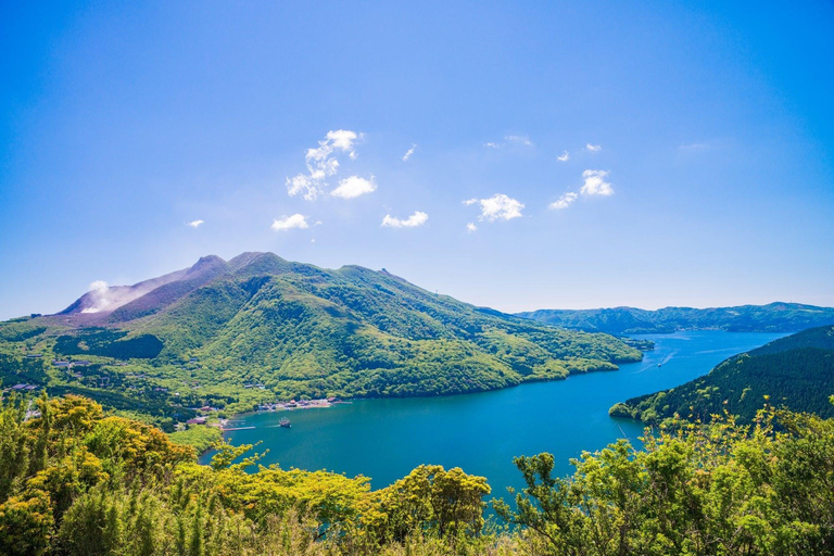 Tokyo: Hakone Private Luxury Day Tour with English Driver