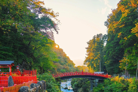 Tokyo: 5-Day Private Tour to Hiroshima with Transport