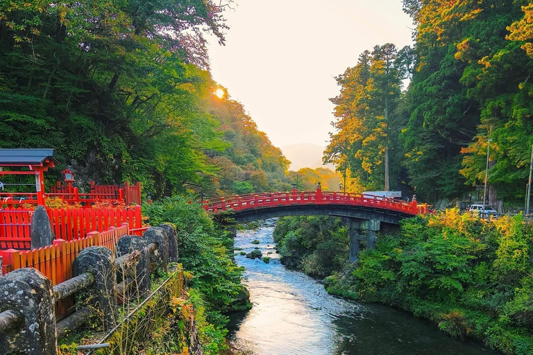 Tokyo: 5-Day Private Tour to Hiroshima with Transport