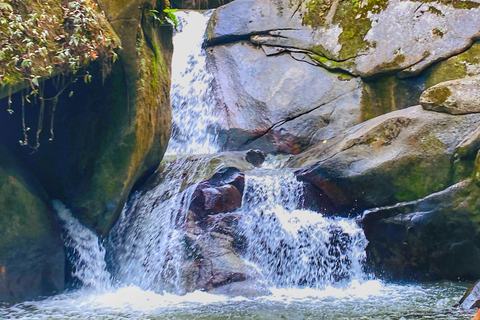 From Santa Marta: Minca and Coffee and Cacao Tour with Lunch Minca Magic and exotic Coffee and Cacao Tour