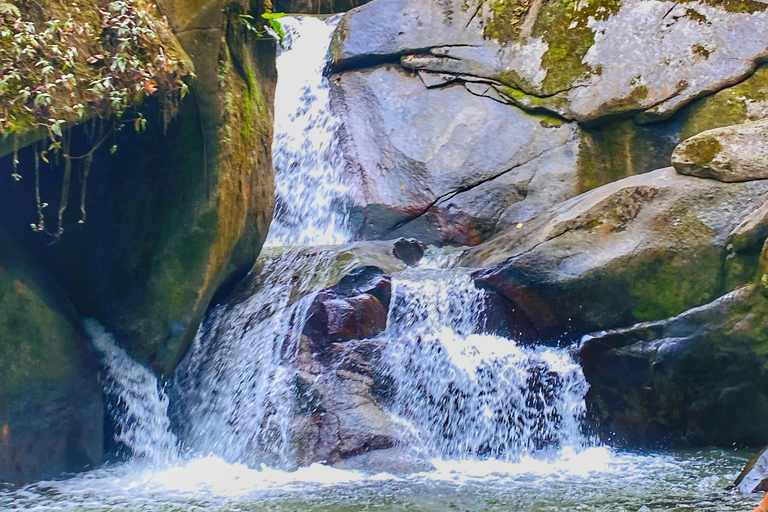 From Santa Marta: Minca and Coffee and Cacao Tour with Lunch Minca Magic and exotic Coffee and Cacao Tour