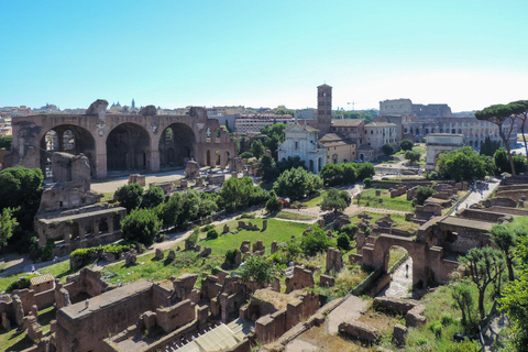Rome: Colosseum Small-Group Guided Tour