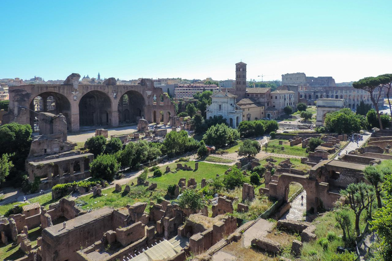 Rome: Colosseum Small-Group Guided Tour