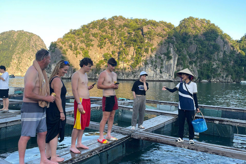 Hanoi/Catba: 2-Day Adventure Cat Ba National Park,Lan Ha Bay From Hanoi: 2-Day Adventure