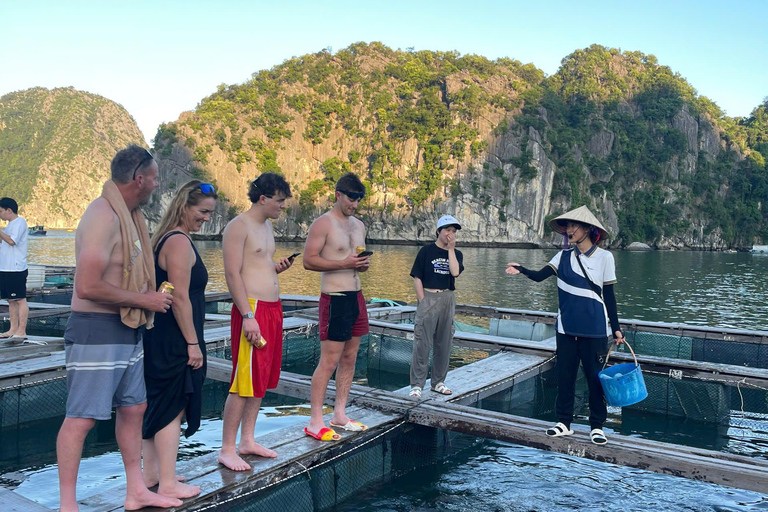 Hanoi/Catba: 2-Day Adventure Cat Ba National Park,Lan Ha Bay From Hanoi: 2-Day Adventure