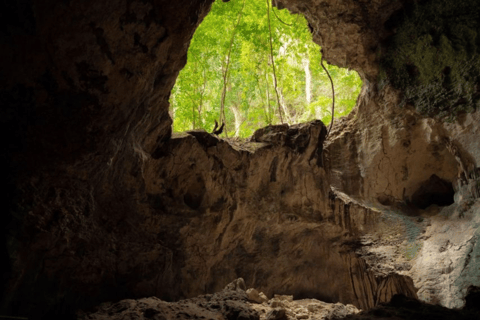 Punta Cana: Haitises Horses, Cano hondo & Montana redonda