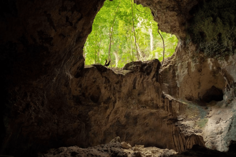 Punta Cana: Haitises Horses, Cano hondo & Montana redonda