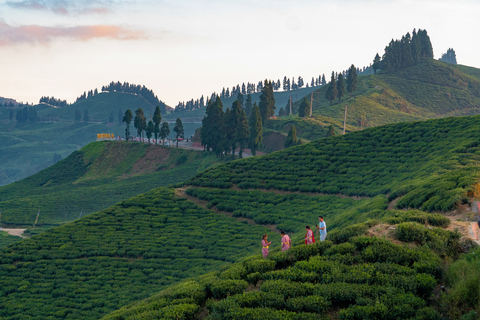 Kathmandu: Ilam Tea Garden & Sunrise 3-Day Tour