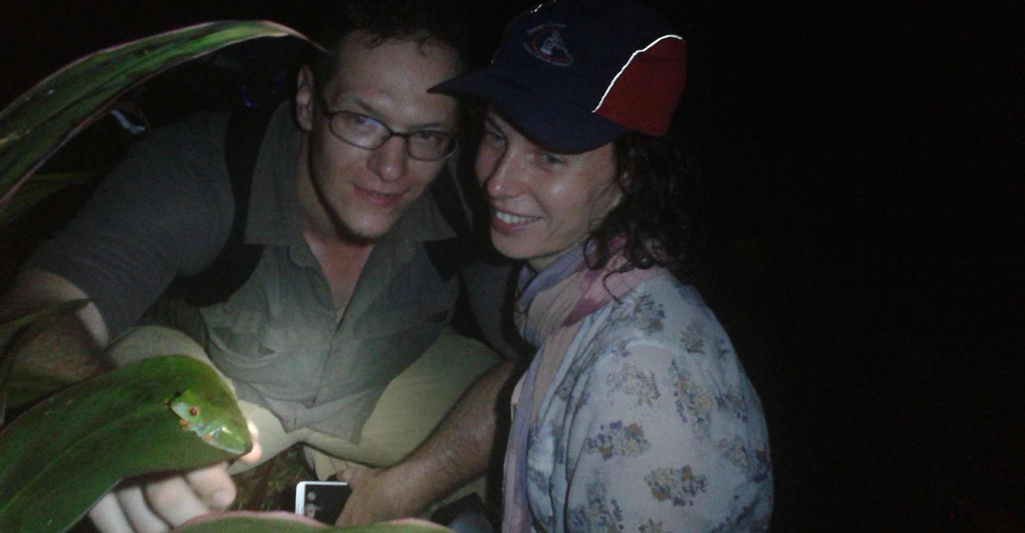 Tortuguero, Turtle Nesting Night Tour - Housity