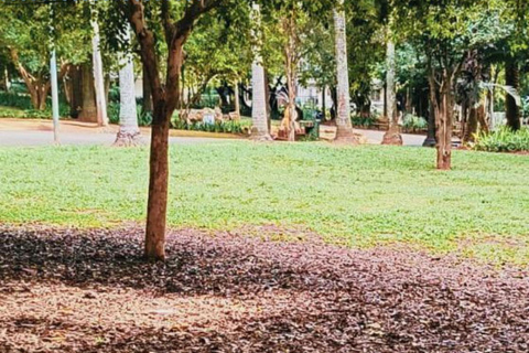 São Paulo: Surviving in Portuguese & Local Tips