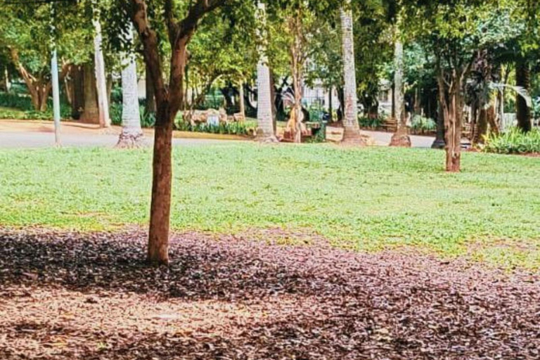 São Paulo: Surviving in Portuguese & Local Tips