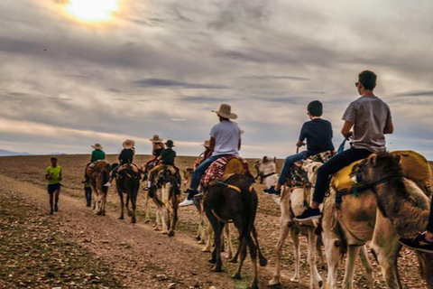 Marrakech: Agafay woestijn Quad &amp; kamelenritten met dinnershow