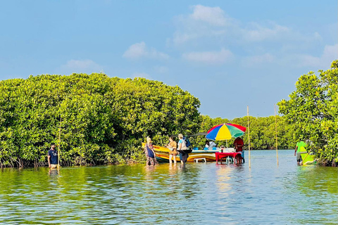 From Negombo: Boat Tour of Negombo Lagoon