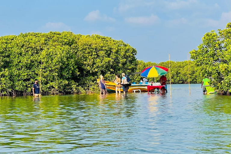 From Negombo: Boat Tour of Negombo Lagoon