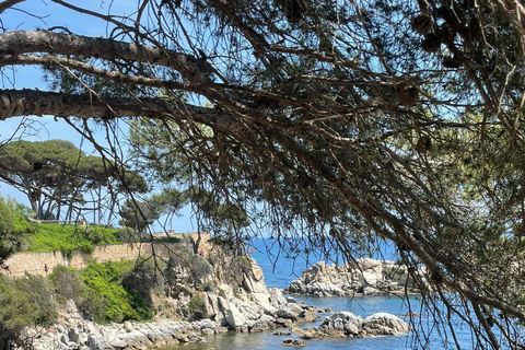 From Barcelona: Costa Brava Kayak & Snorkel Tour with Picnic From Barcelona: Costa Brava Kayaking and Snorkeling Day Trip