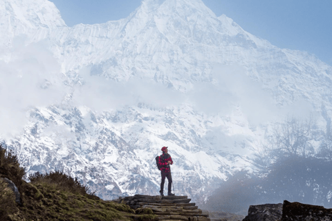 Kathmandu: 5-Day Mardi Himal Trek with Guide and Flights