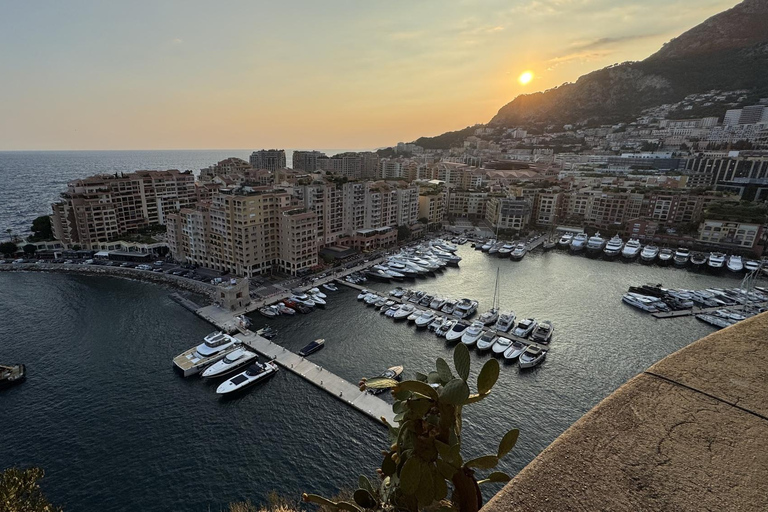 Monaco, Monte-Carlo & Eze Village Private Half-Day Tour LICENSED GUIDE + MERCEDES V