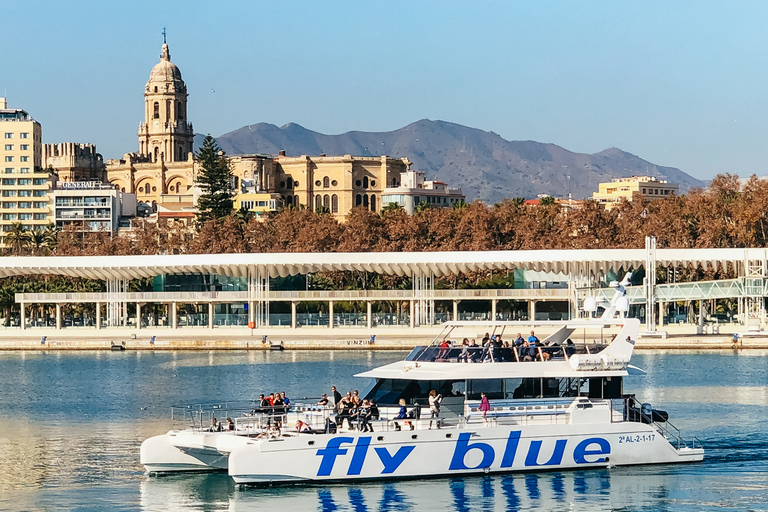 Málaga: Cruzeiro de catamarã com parada opcional para nadarPasseio Diurno de 1 Hora sem Parada para Mergulho