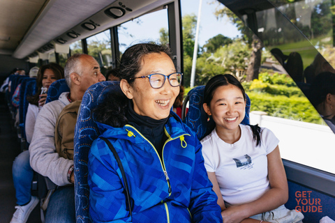 San Francisco: Monterey and Carmel Day Trip w/ 17-Mile Drive From San Francisco: Monterey and Carmel Day Tour