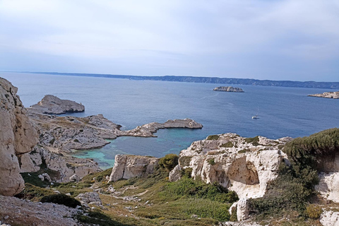 Marsella: Crucero en catamarán para descubrir las islas Frioul