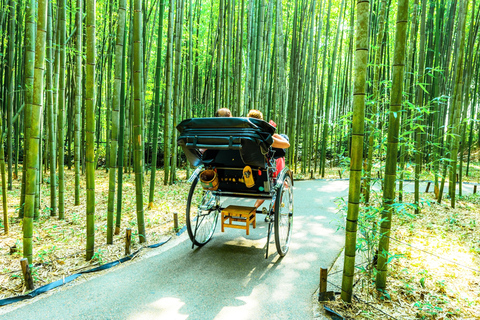 Osaka/Kyoto: Arashiyama, Nara Park & Fushimi Inari Day Tour Kyoto Departure: Private Sightseeing Tours