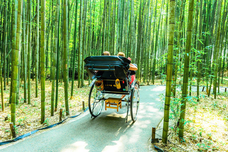 Osaka/Kyoto: Arashiyama, Nara Park & Fushimi Inari Day Tour Kyoto Departure: Private Sightseeing Tours
