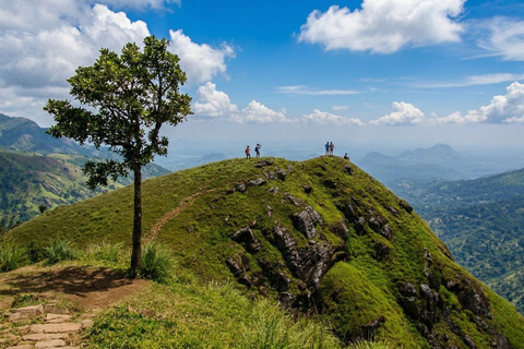Ella: Little Adam's Peak Guided Hike with Tuk-Tuk Ride