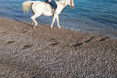 Faliraki/Afadou: Horse Ride to the Beach