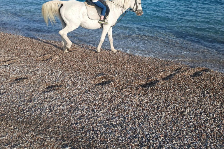 Faliraki/Afadou: Horse Ride to the Beach