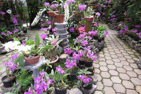 San José: Irazú Volcano, Orosi Day Tour & Lankester Gardens