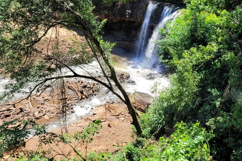 Iguazu Extreme Day: Sunrise, São João Trail & Macuco Safari