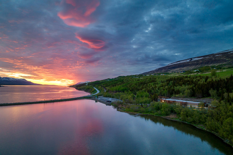 Akureyri: Whale Watching Tour & Forest Lagoon Entrance Whale Watching & Forest Lagoon