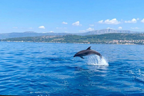 Split: Lagoa Azul, Hvar e 5 Ilhas Tour em pequenos grupos de barco