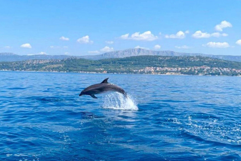 Split: Lagoa Azul, Hvar e 5 Ilhas Tour em pequenos grupos de barco