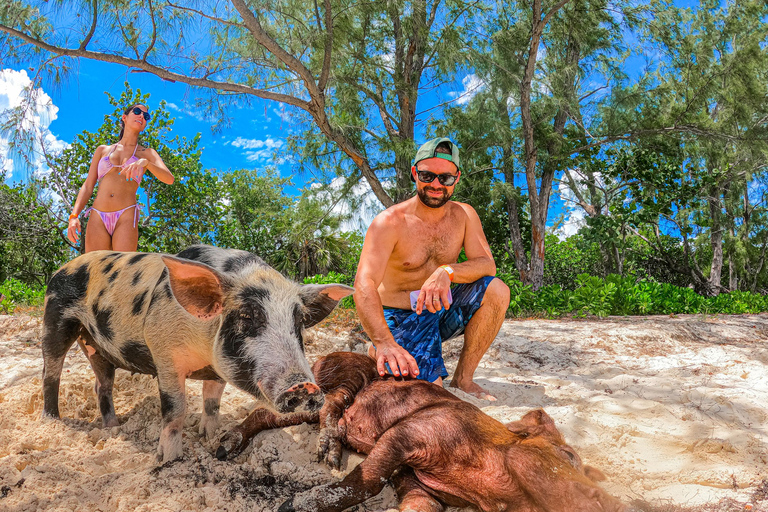 Nassau: Pigs Beach Trip by Boat with Swimming and Feeding