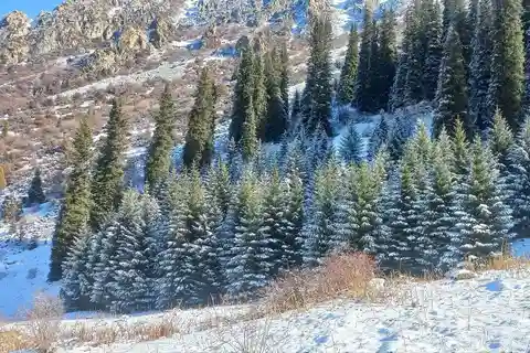 Bishkek: (3 dage) til at udforske natur, historie og natteliv